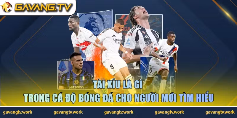 tài xỉu là gì